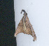  ( - YB-BCI189508)  @11 [ ] No Rights Reserved  Unspecified Unspecified