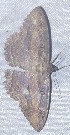  ( - YB-BCI189613)  @11 [ ] No Rights Reserved  Unspecified Unspecified
