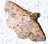  ( - YB-BCI189737)  @11 [ ] No Rights Reserved  Unspecified Unspecified