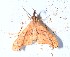  ( - YB-BCI189822)  @11 [ ] No Rights Reserved  Unspecified Unspecified