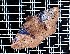  ( - YB-BCI191838)  @11 [ ] No Rights Reserved  Unspecified Unspecified