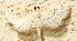  ( - YB-BCI192011)  @11 [ ] No Rights Reserved  Unspecified Unspecified