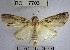  ( - YB-BCI7703)  @11 [ ] No Rights Reserved  Unspecified Unspecified
