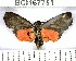  ( - YB-BCI167751)  @13 [ ] No Rights Reserved  Unspecified Unspecified