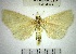  ( - YB-BCI168636)  @11 [ ] No Rights Reserved  Unspecified Unspecified