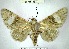  ( - YB-BCI169004)  @11 [ ] No Rights Reserved  Unspecified Unspecified