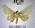  ( - YB-BCI168925)  @11 [ ] No Rights Reserved  Unspecified Unspecified