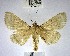  ( - YB-BCI168990)  @13 [ ] No Rights Reserved  Unspecified Unspecified