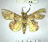  (Sosxetra grataDHJ01 - YB-BCI169051)  @13 [ ] No Rights Reserved  Unspecified Unspecified