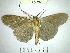 ( - YB-BCI168649)  @13 [ ] No Rights Reserved  Unspecified Unspecified