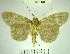 ( - YB-BCI169026)  @13 [ ] No Rights Reserved  Unspecified Unspecified
