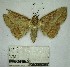  (Sanys sp. 1YB - YB-BCI177123)  @11 [ ] No Rights Reserved  Unspecified Unspecified