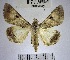  ( - YB-BCI168866)  @13 [ ] No Rights Reserved  Unspecified Unspecified