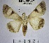  ( - YB-BCI168866)  @12 [ ] No Rights Reserved  Unspecified Unspecified