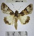  ( - YB-BCI168860)  @13 [ ] No Rights Reserved  Unspecified Unspecified