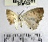  ( - YB-BCI87643.2)  @11 [ ] No Rights Reserved  Unspecified Unspecified