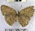  ( - YB-BCI83260)  @11 [ ] No Rights Reserved  Unspecified Unspecified