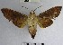  ( - YB-BCI58789)  @11 [ ] No Rights Reserved  Unspecified Unspecified