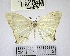  ( - YB-BCI45075)  @11 [ ] No Rights Reserved  Unspecified Unspecified