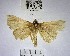  ( - YB-BCI168652)  @11 [ ] No Rights Reserved  Unspecified Unspecified