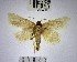  ( - YB-BCI169100)  @11 [ ] No Rights Reserved  Unspecified Unspecified
