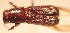  ( - YB-BCI4487)  @12 [ ] No Rights Reserved  Unspecified Unspecified