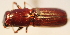  ( - YB-BCI544)  @12 [ ] No Rights Reserved  Unspecified Unspecified