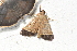  ( - YB-BCI187614)  @11 [ ] No Rights Reserved  Unspecified Unspecified