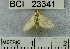 ( - YB-BCI23341)  @12 [ ] No Rights Reserved  Unspecified Unspecified
