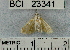  ( - YB-BCI23341)  @12 [ ] No Rights Reserved  Unspecified Unspecified