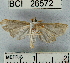  ( - YB-BCI26572)  @13 [ ] No Rights Reserved  Unspecified Unspecified