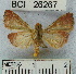  ( - YB-BCI26267)  @13 [ ] No Rights Reserved  Unspecified Unspecified