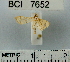  ( - YB-BCI7652)  @12 [ ] No Rights Reserved  Unspecified Unspecified