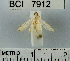  ( - YB-BCI7912)  @12 [ ] No Rights Reserved  Unspecified Unspecified