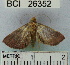  ( - YB-BCI26352)  @13 [ ] No Rights Reserved  Unspecified Unspecified