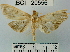  ( - YB-BCI20556)  @13 [ ] No Rights Reserved  Unspecified Unspecified