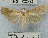  ( - YB-BCI20556)  @13 [ ] No Rights Reserved  Unspecified Unspecified