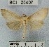  ( - YB-BCI25407)  @13 [ ] No Rights Reserved  Unspecified Unspecified