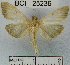  ( - YB-BCI25236)  @13 [ ] No Rights Reserved  Unspecified Unspecified