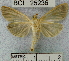  ( - YB-BCI25236)  @13 [ ] No Rights Reserved  Unspecified Unspecified