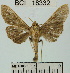  ( - YB-BCI18332)  @13 [ ] No Rights Reserved  Unspecified Unspecified