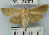  ( - YB-BCI21573)  @13 [ ] No Rights Reserved  Unspecified Unspecified