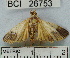  ( - YB-BCI26753)  @13 [ ] No Rights Reserved  Unspecified Unspecified