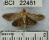  ( - YB-BCI22461)  @13 [ ] No Rights Reserved  Unspecified Unspecified