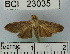  ( - YB-BCI23035)  @13 [ ] No Rights Reserved  Unspecified Unspecified