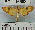  ( - YB-BCI16663)  @13 [ ] No Rights Reserved  Unspecified Unspecified