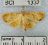  (NoctuidaeGEN sp. 6YB - YB-BCI1332)  @13 [ ] No Rights Reserved  Unspecified Unspecified