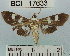  ( - YB-BCI17633)  @13 [ ] No Rights Reserved  Unspecified Unspecified