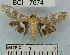  ( - YB-BCI7674)  @12 [ ] No Rights Reserved  Unspecified Unspecified