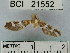  ( - YB-BCI21552)  @12 [ ] No Rights Reserved  Unspecified Unspecified